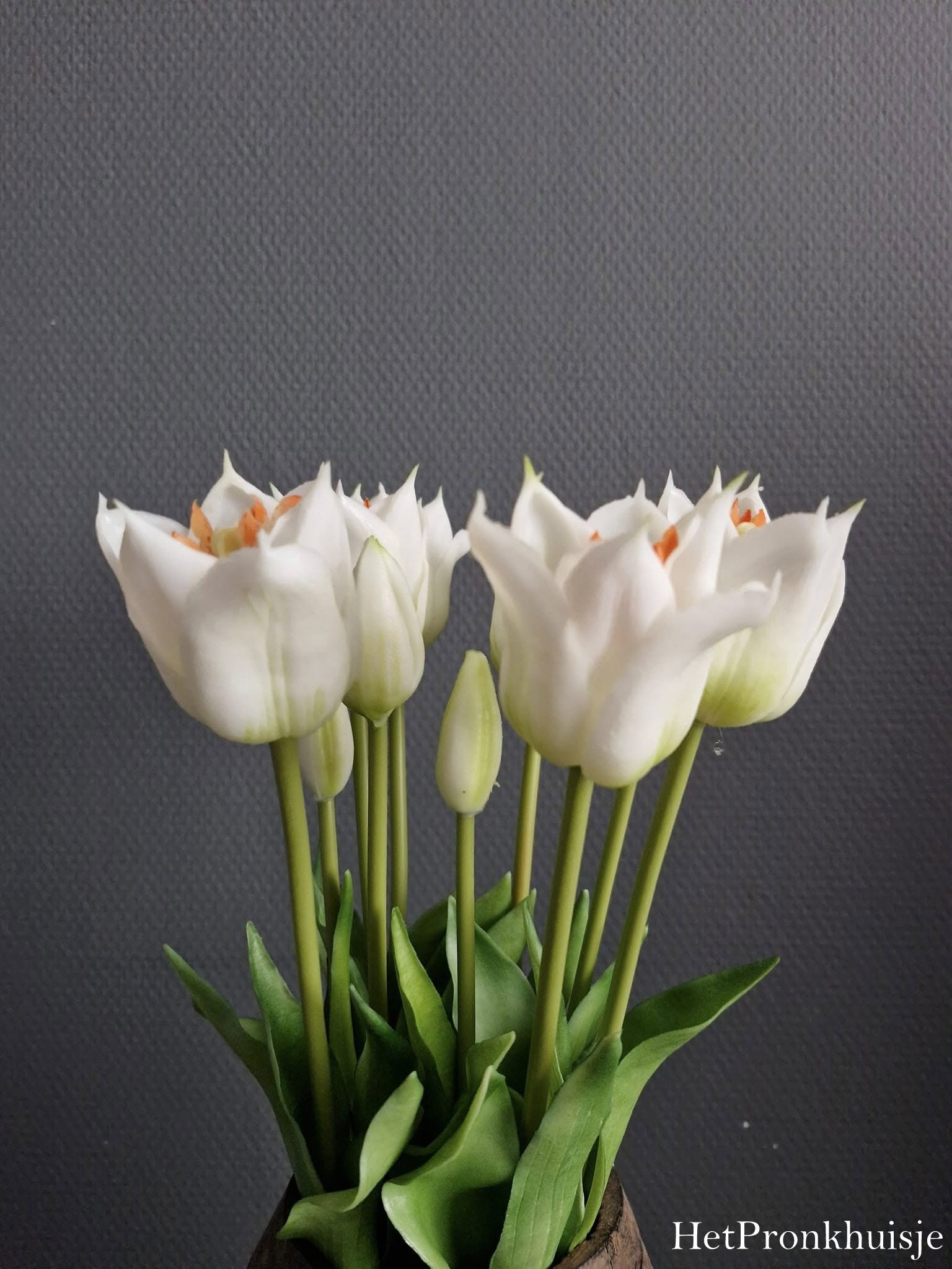 Bos tulpen. Wit. 5 stelen - Afbeelding 3