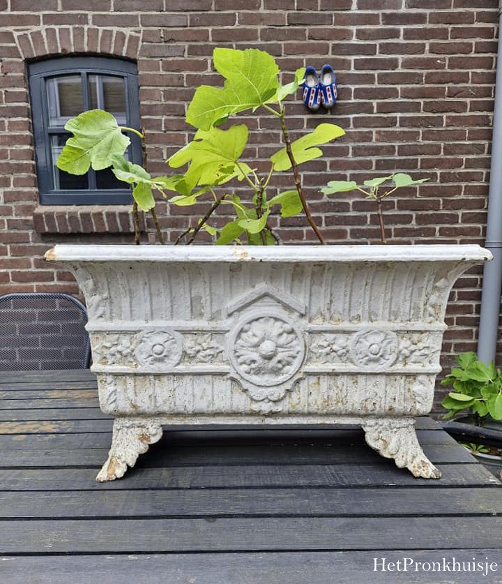 Gietijzeren jardinière - Afbeelding 2