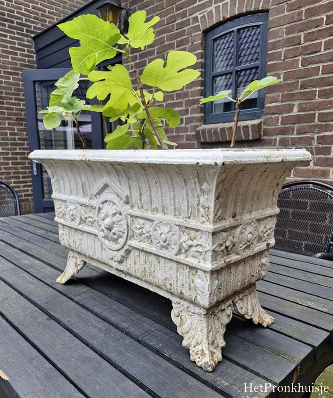 Gietijzeren jardinière - Afbeelding 3