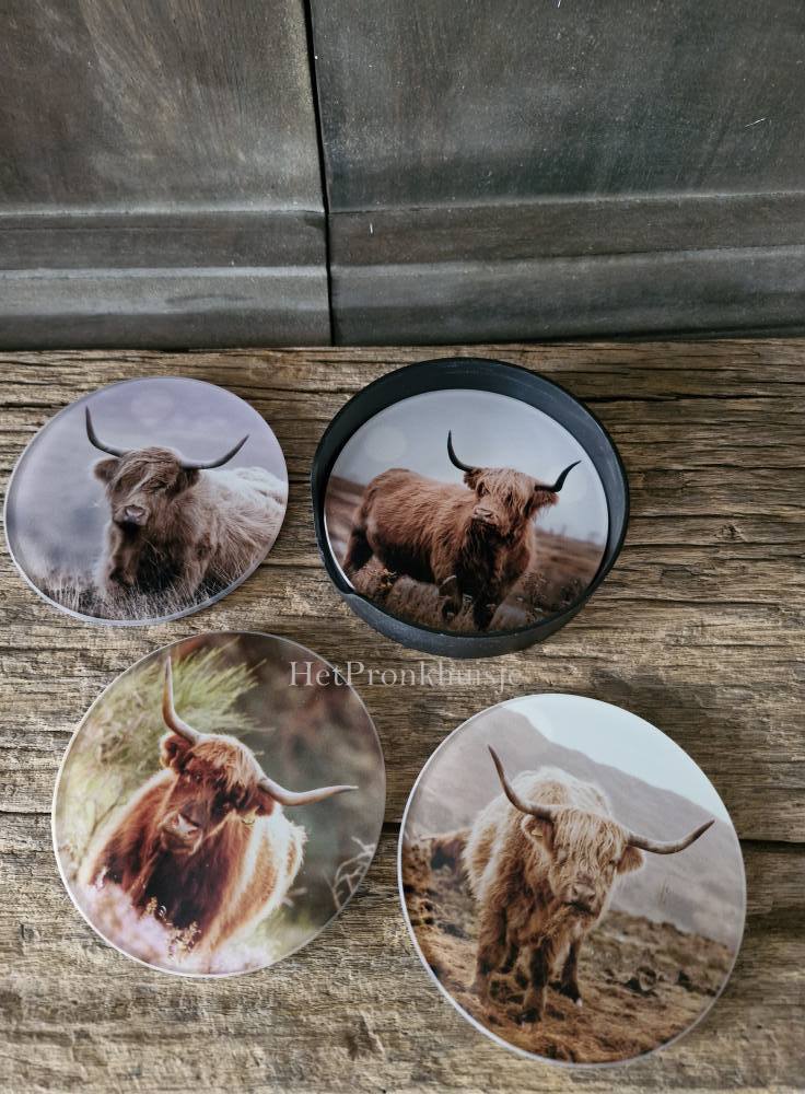 Glazen onderzetters in houder. Hooglander - Afbeelding 2