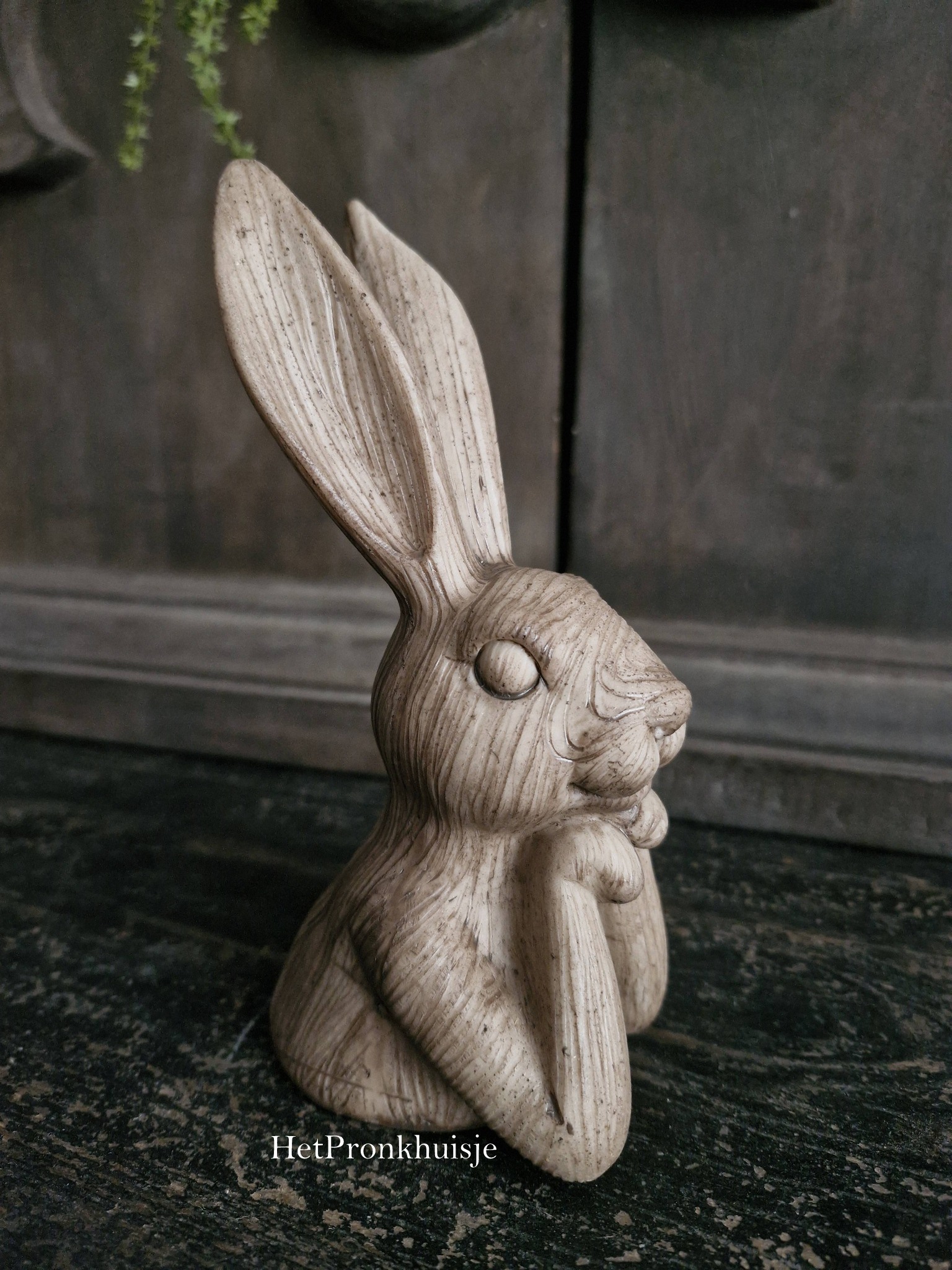 Haas zen klein - Afbeelding 3