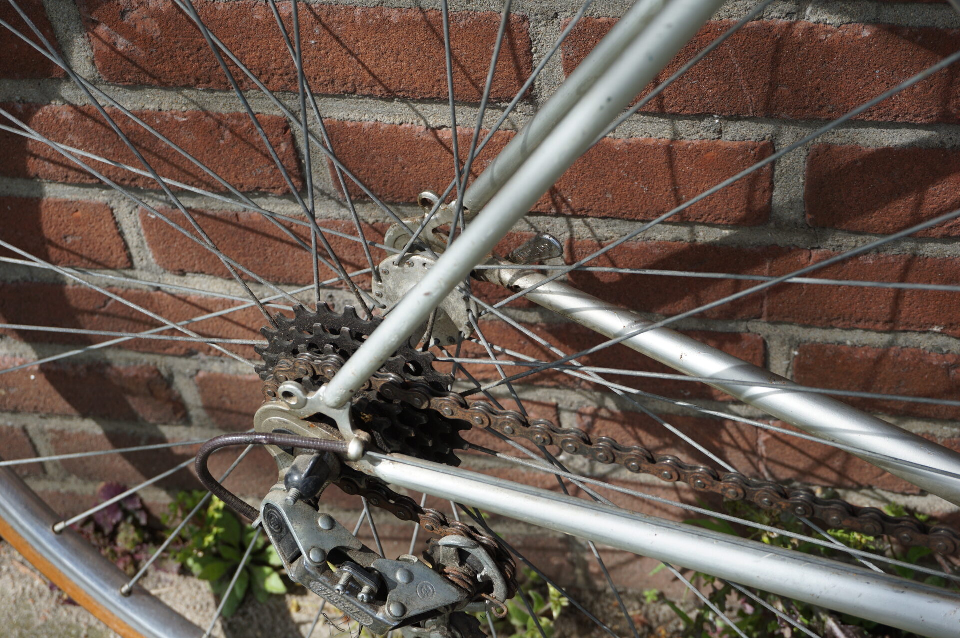 Moto Becane vintage racefiets - Afbeelding 5