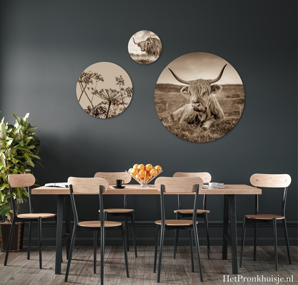 Muurcirkel set. Hooglander sepia - Afbeelding 2