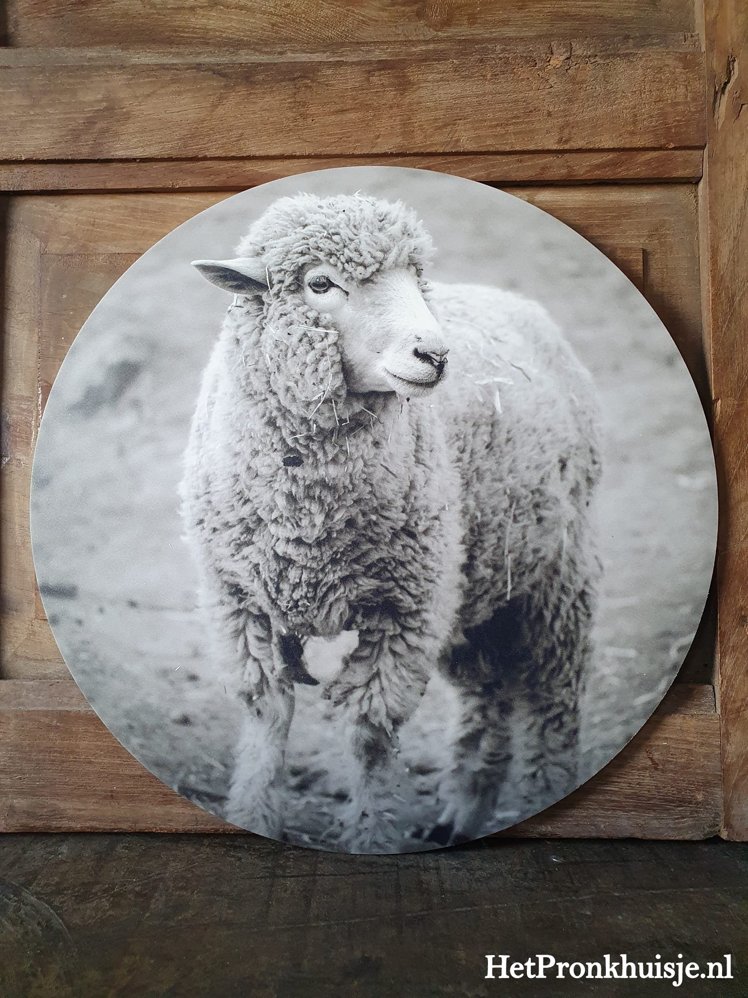 Muurcirkel. Schaap. Zwart wit - Afbeelding 2