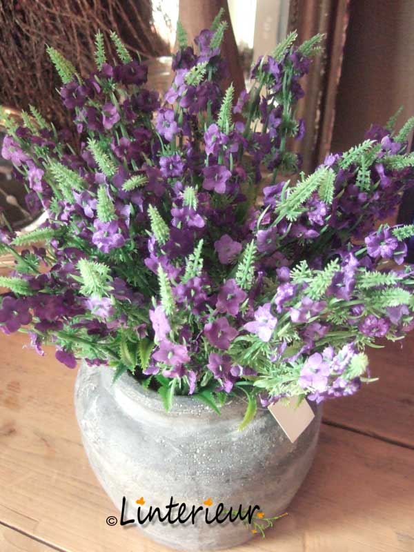 Paars toefje anemonen - Afbeelding 3