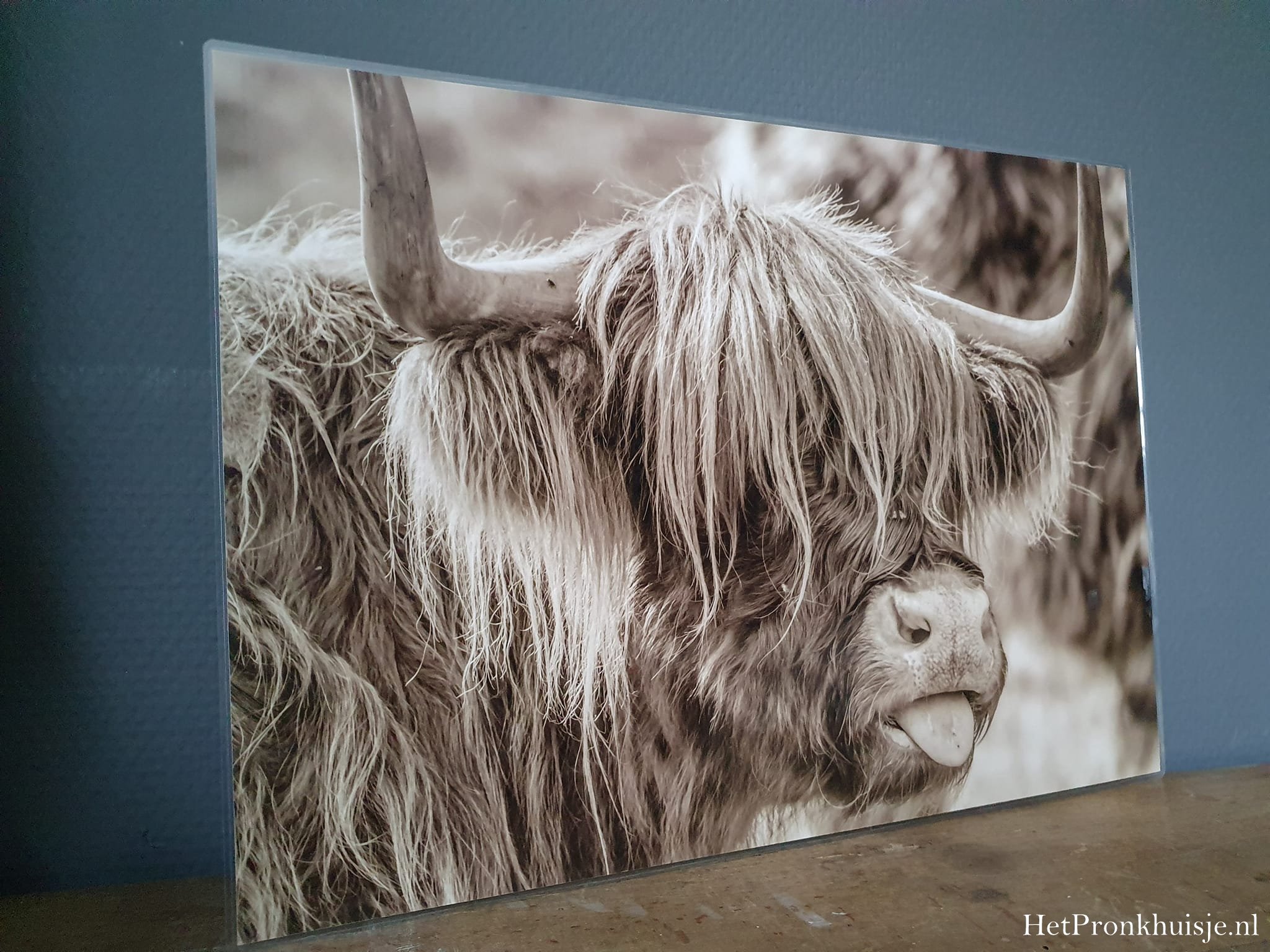 Placemat. Hooglander met tong - Afbeelding 2