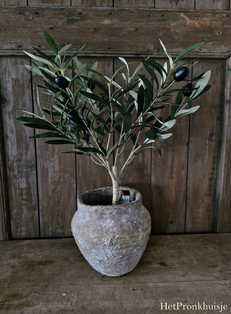 Suzo pot. Berend - Afbeelding 4