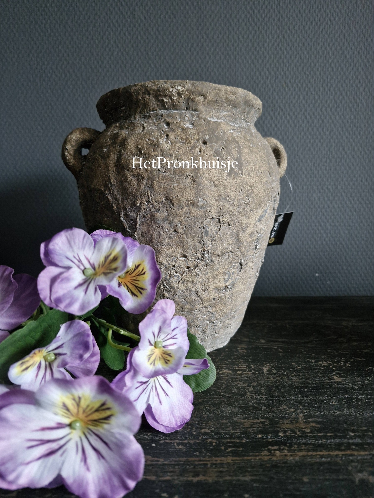 Suzo robuuste pot. Willem. Klein - Afbeelding 4