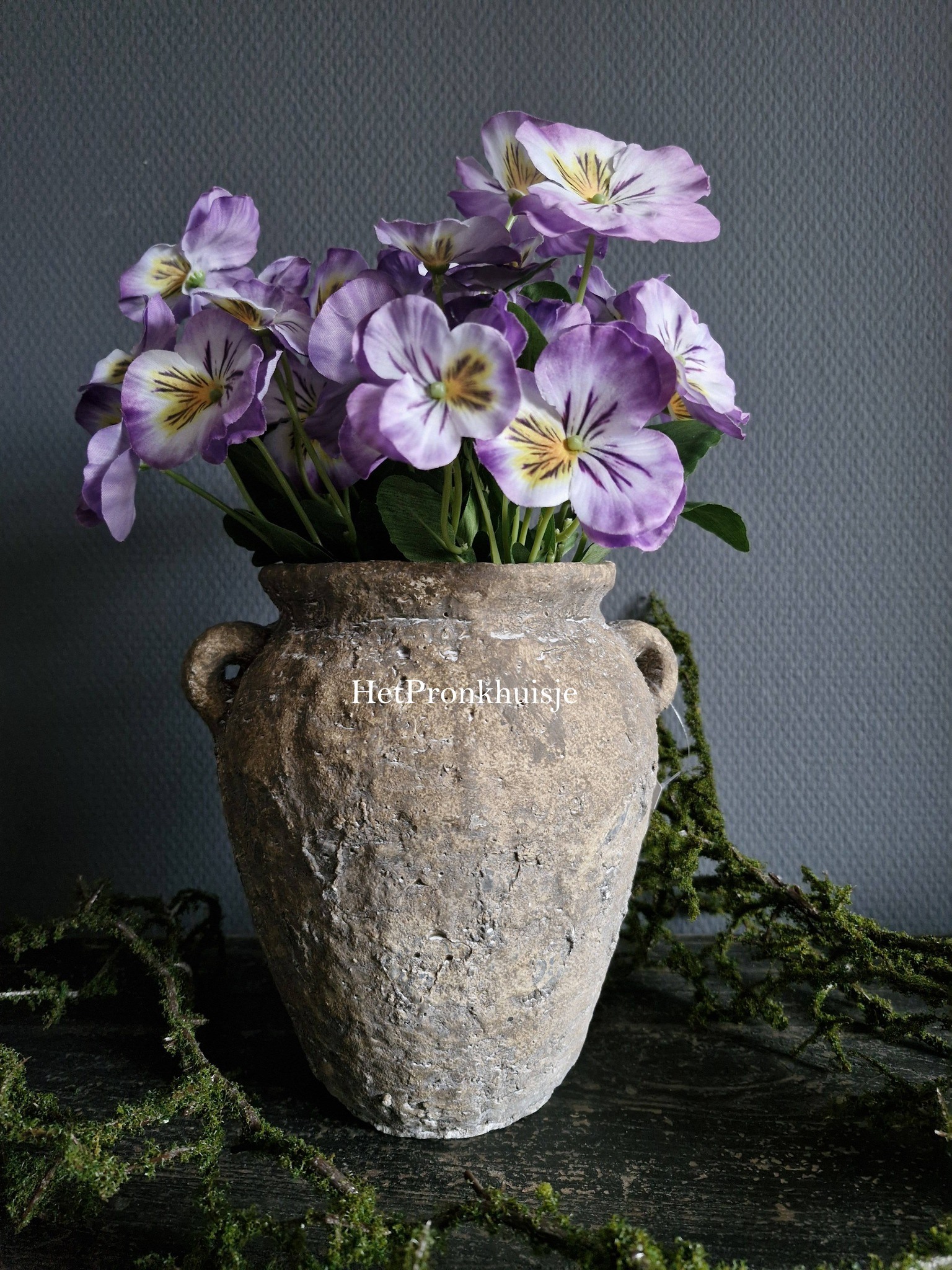 Suzo robuuste pot. Willem. Klein - Afbeelding 2