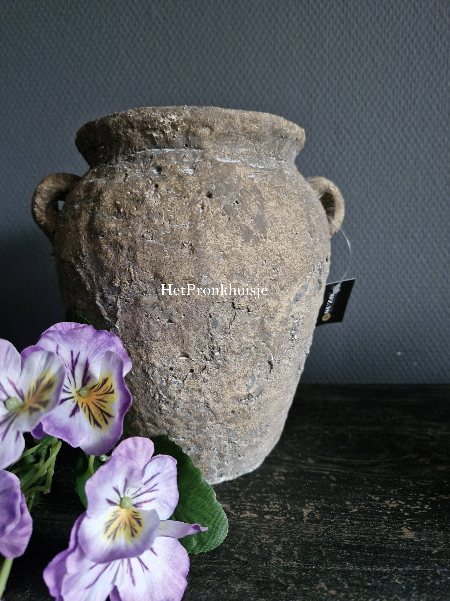 Suzo robuuste pot. Willem. Klein - Afbeelding 5