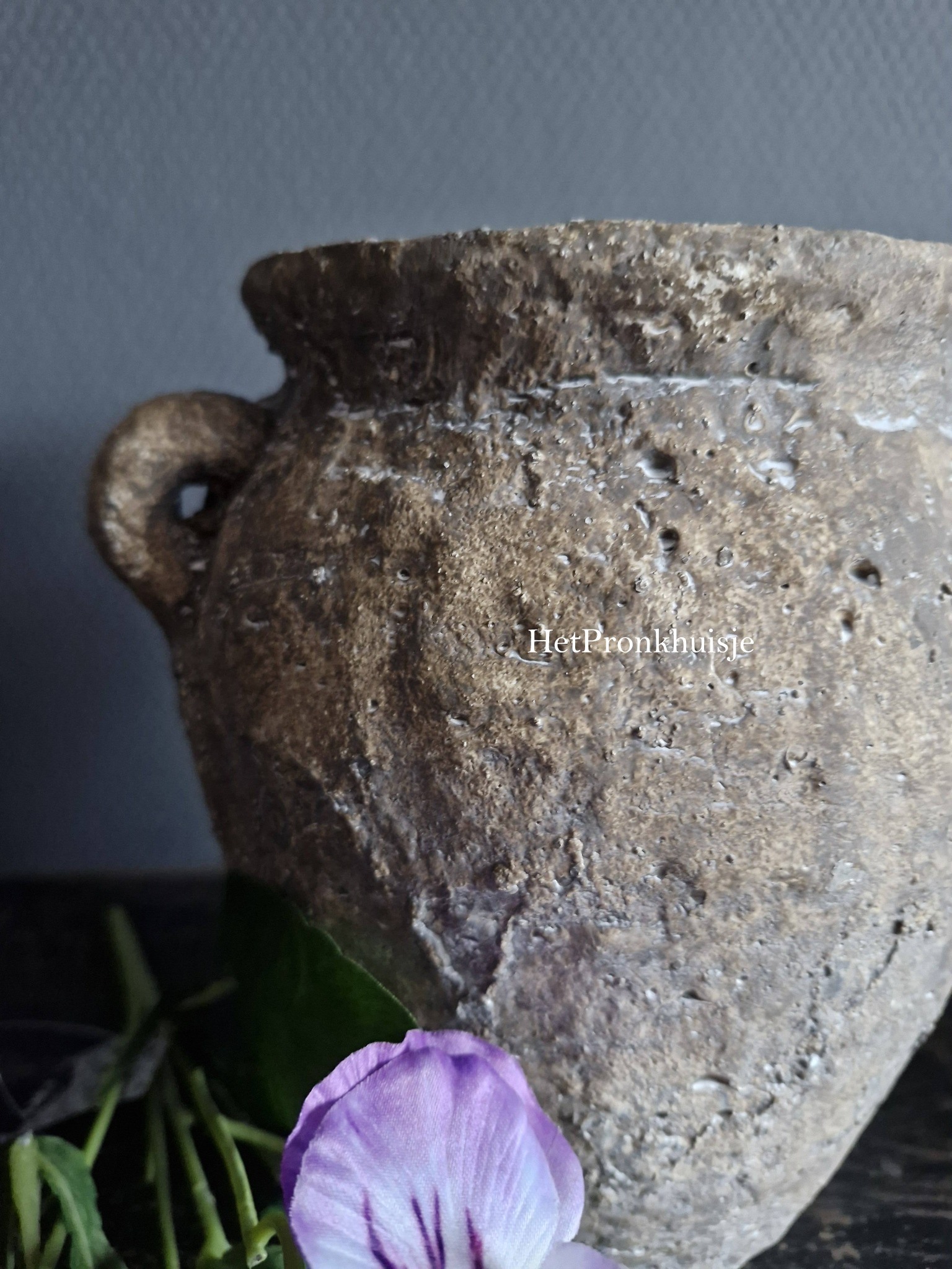 Suzo robuuste pot. Willem. Klein - Afbeelding 6