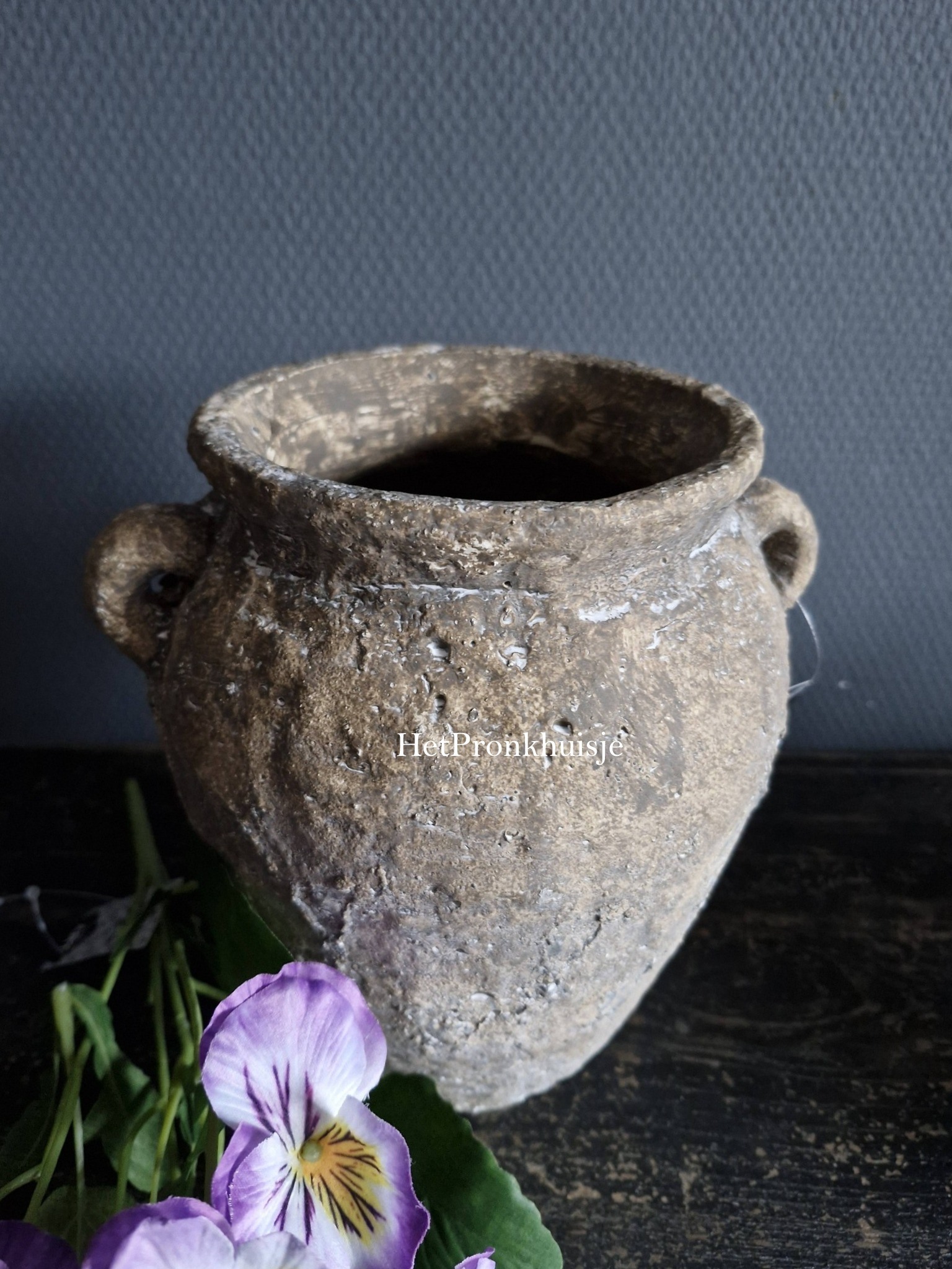 Suzo robuuste pot. Willem. Klein - Afbeelding 7