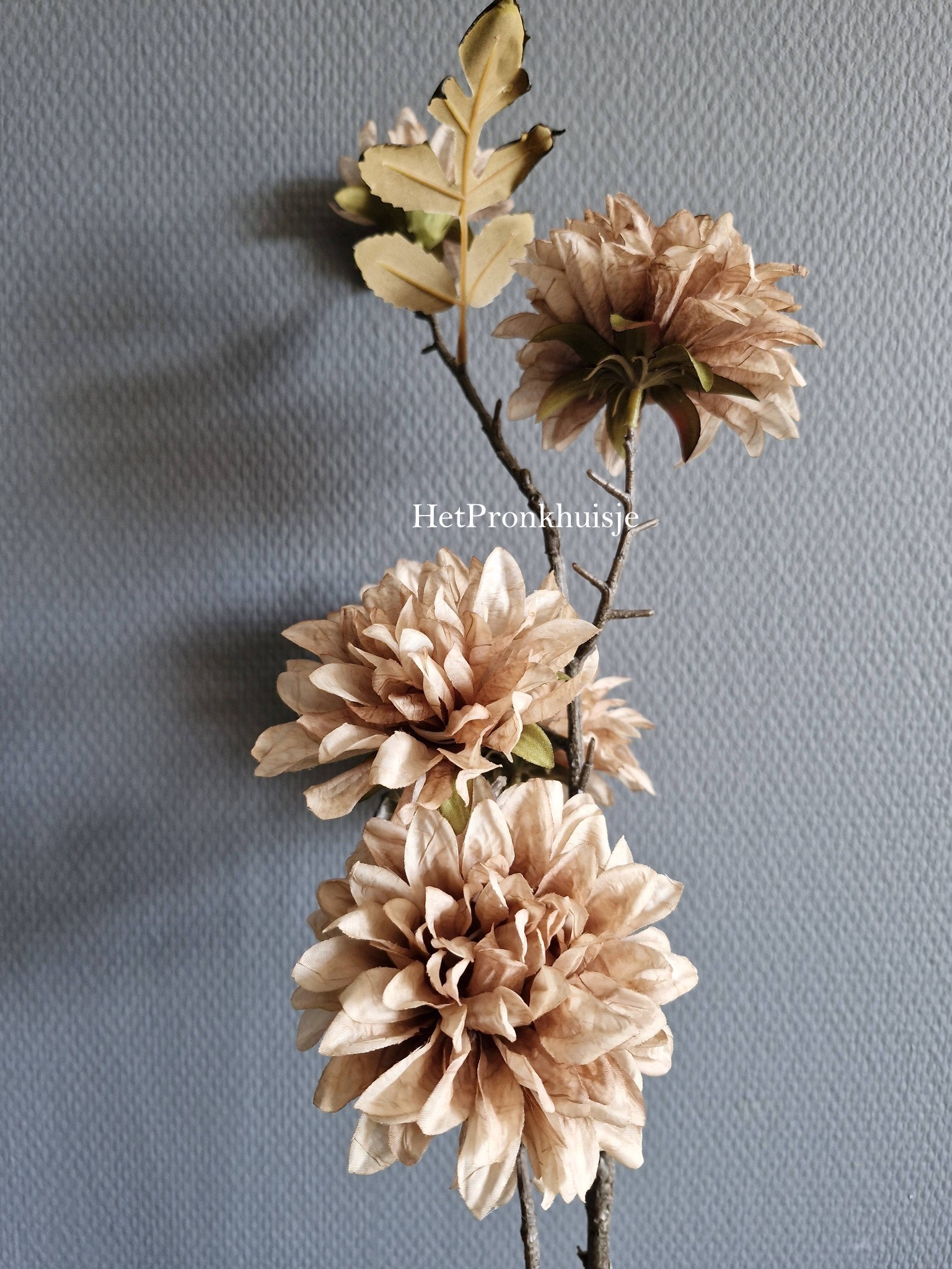 Suzo. Dahlia tak bruin - Afbeelding 3