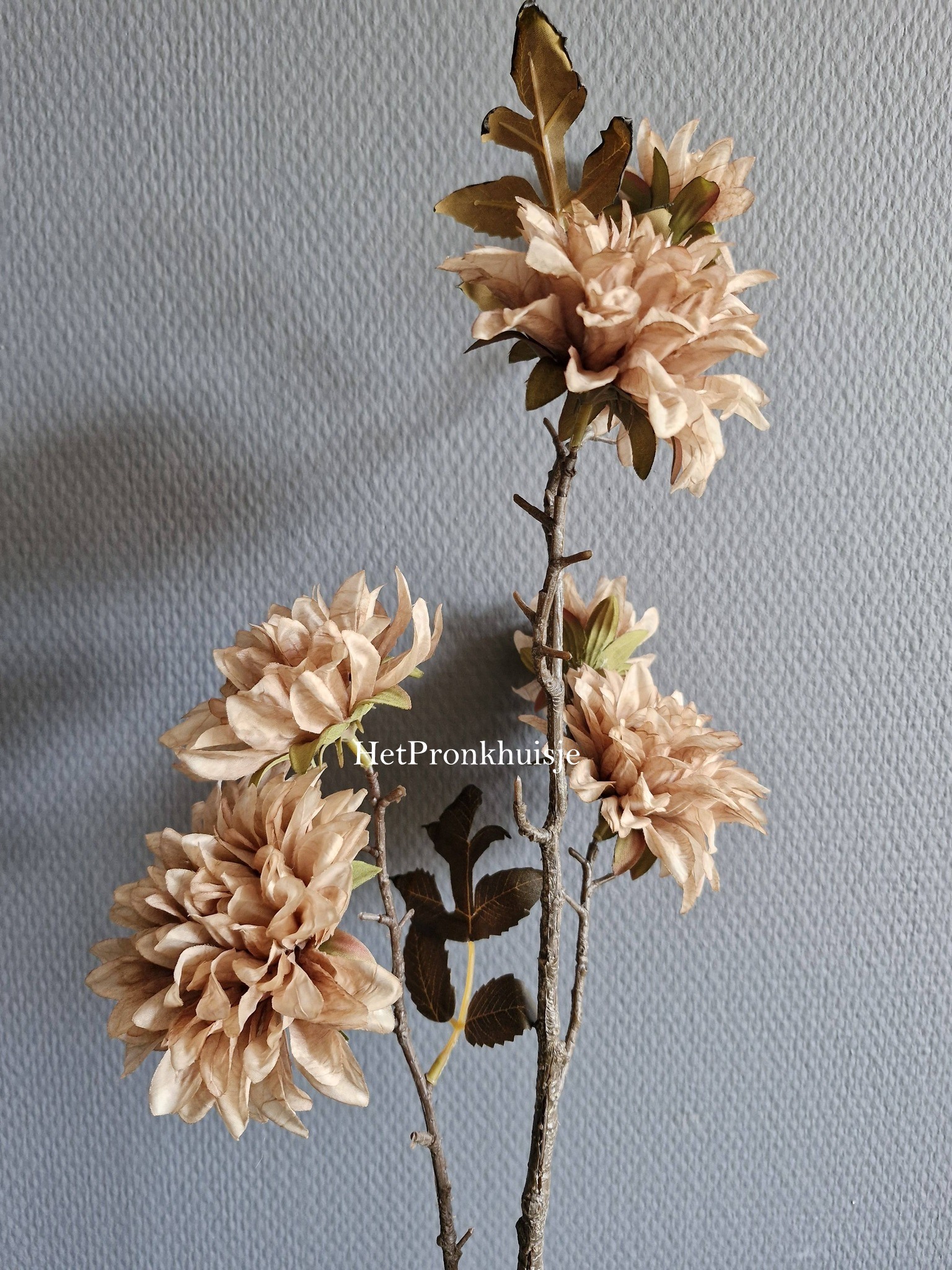 Suzo. Dahlia tak bruin - Afbeelding 2