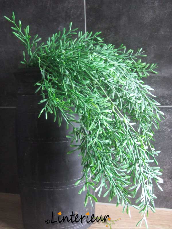 Taxus tak kunst - Afbeelding 2