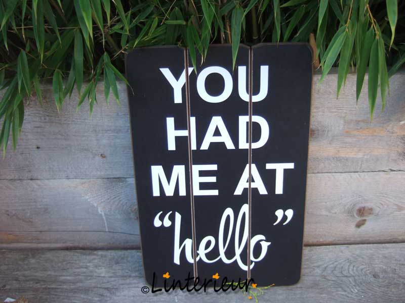 Tekstbord you had me at hello - Afbeelding 2