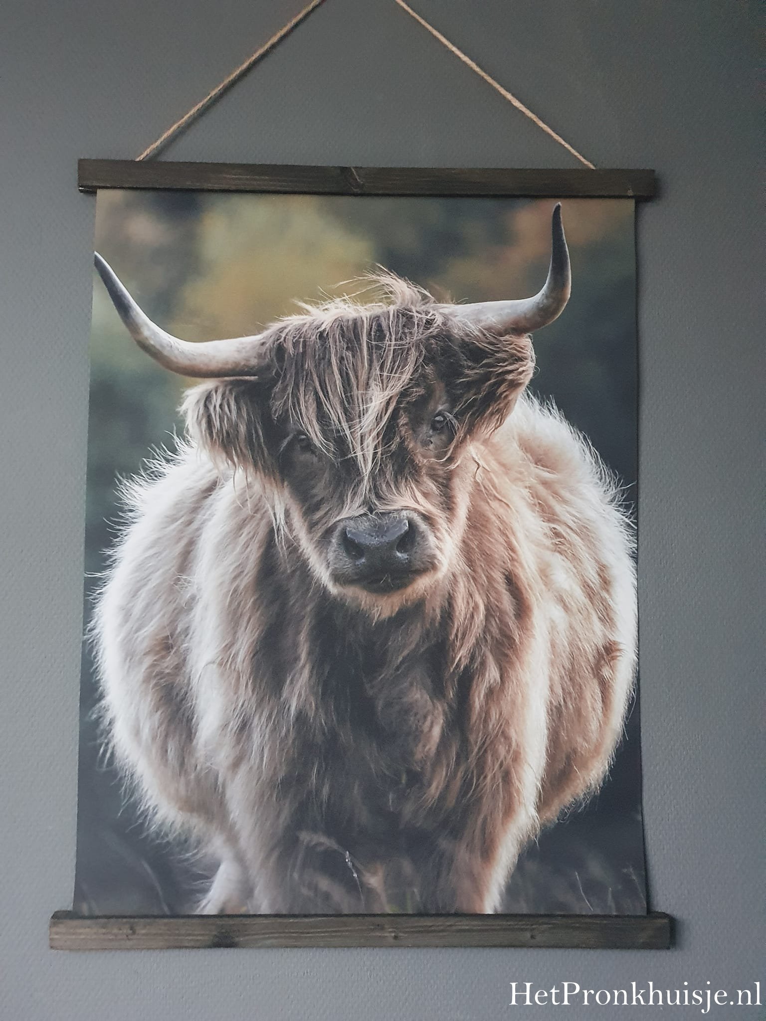 Wanddoek. Hooglander kalf. - Afbeelding 2