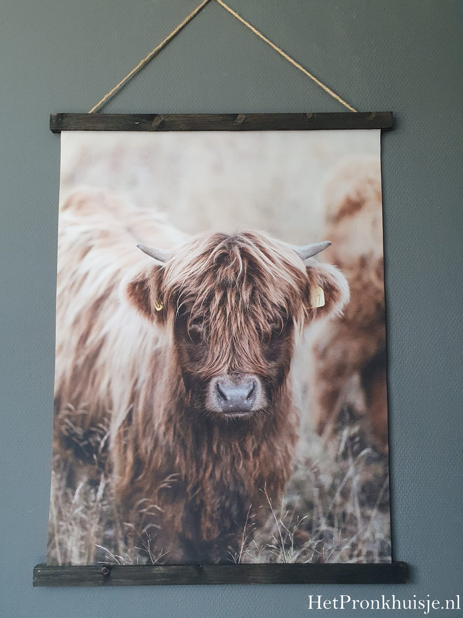 Wanddoek. Hooglander kalf - Afbeelding 2