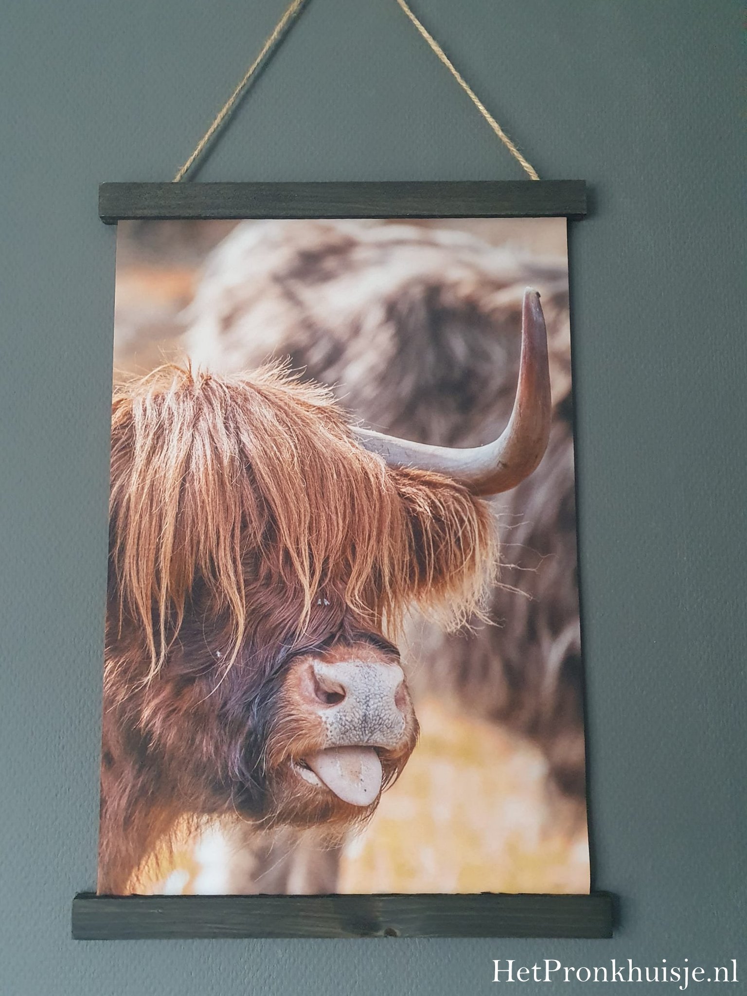 Wanddoek. Hooglander tong - Afbeelding 2