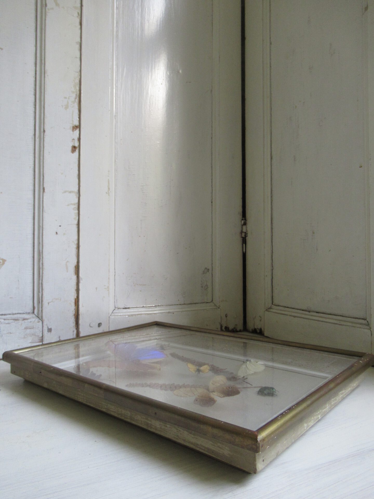 prachtige oude Franse vlinder lijst - Afbeelding 4